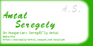 antal seregely business card